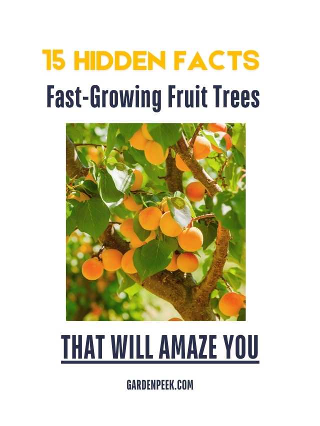 5 Hidden Facts About Fast-Growing Fruit Trees in the United States That Will Amaze You