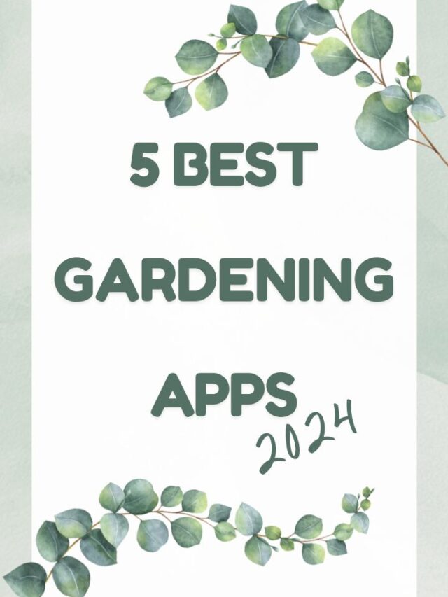 5 Best Gardening 2024