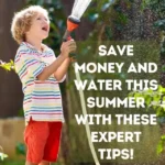 Save Money and Water This Summer with These Expert Tips