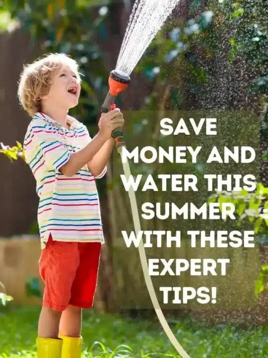 Save Money and Water This Summer with These Expert Tips