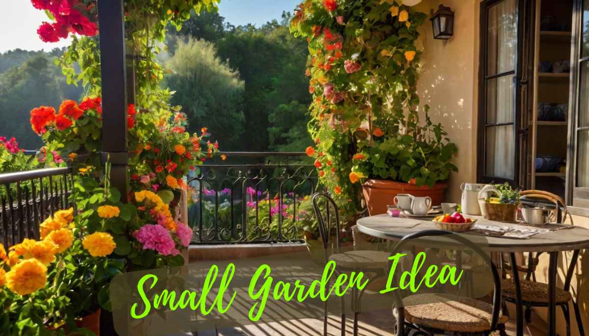 Small Garden idea