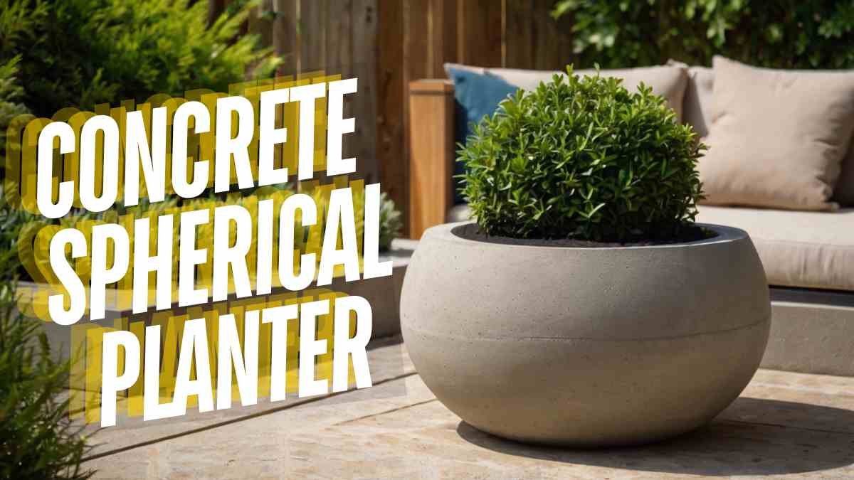 Concrete Spherical Planter